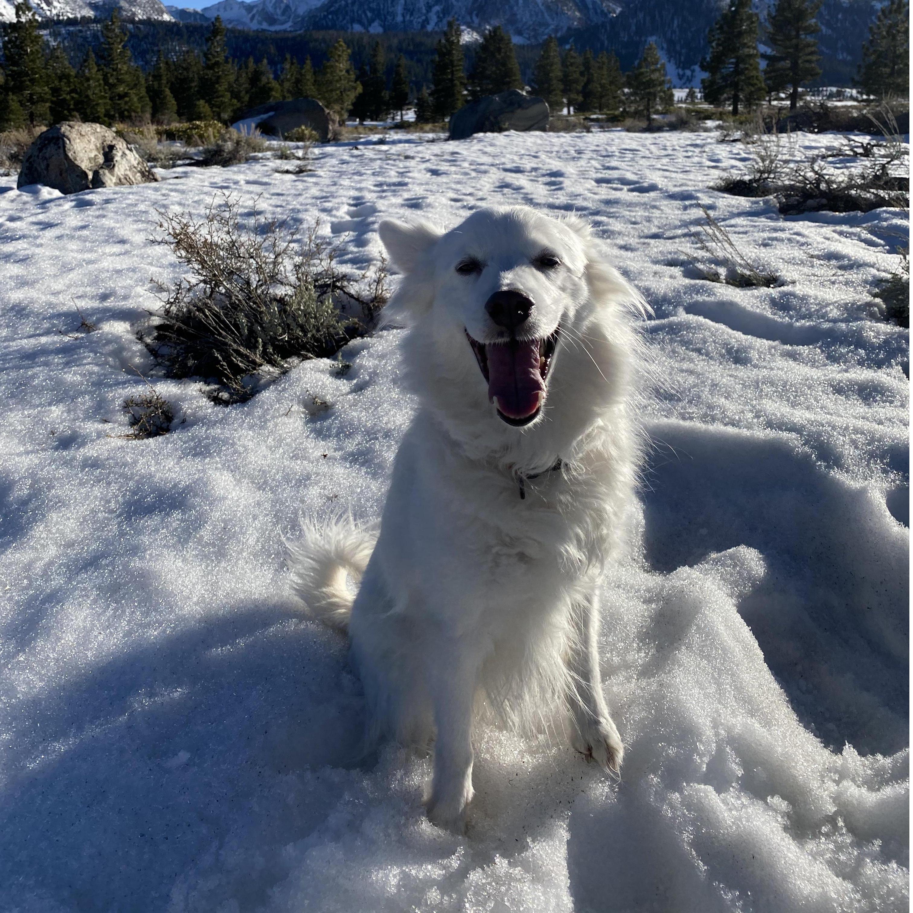 Our little guy