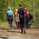 Hiking And Walking Trails At Lake Lanier Islands