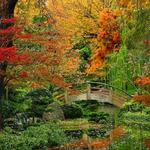 Fort Worth Botanic Garden
