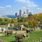 Denver Zoo
