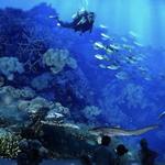 Seattle Aquarium