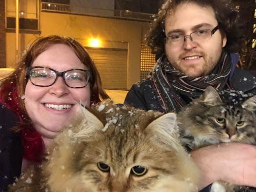 Our cats also enjoy snow