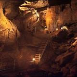 Organ Cave