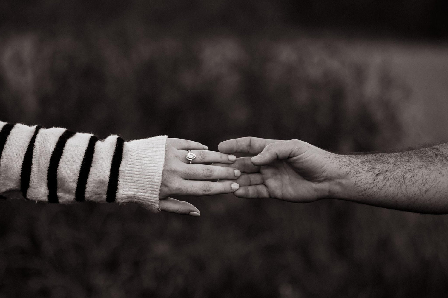 The Wedding Website of Benjamin Turek and Amanda Smith