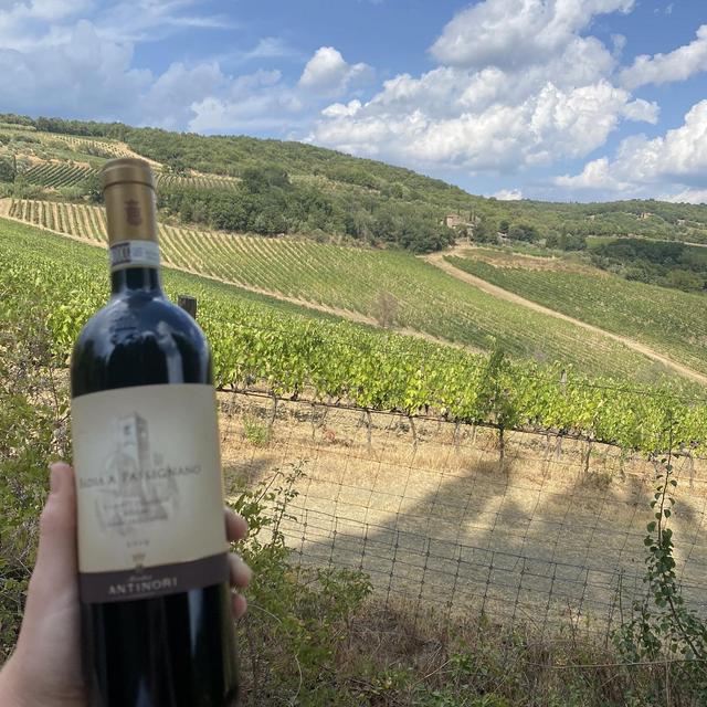 Wine Tasting in Loire Valley