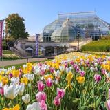 Stroll through Phipps Conservatory and Botanical Gardens