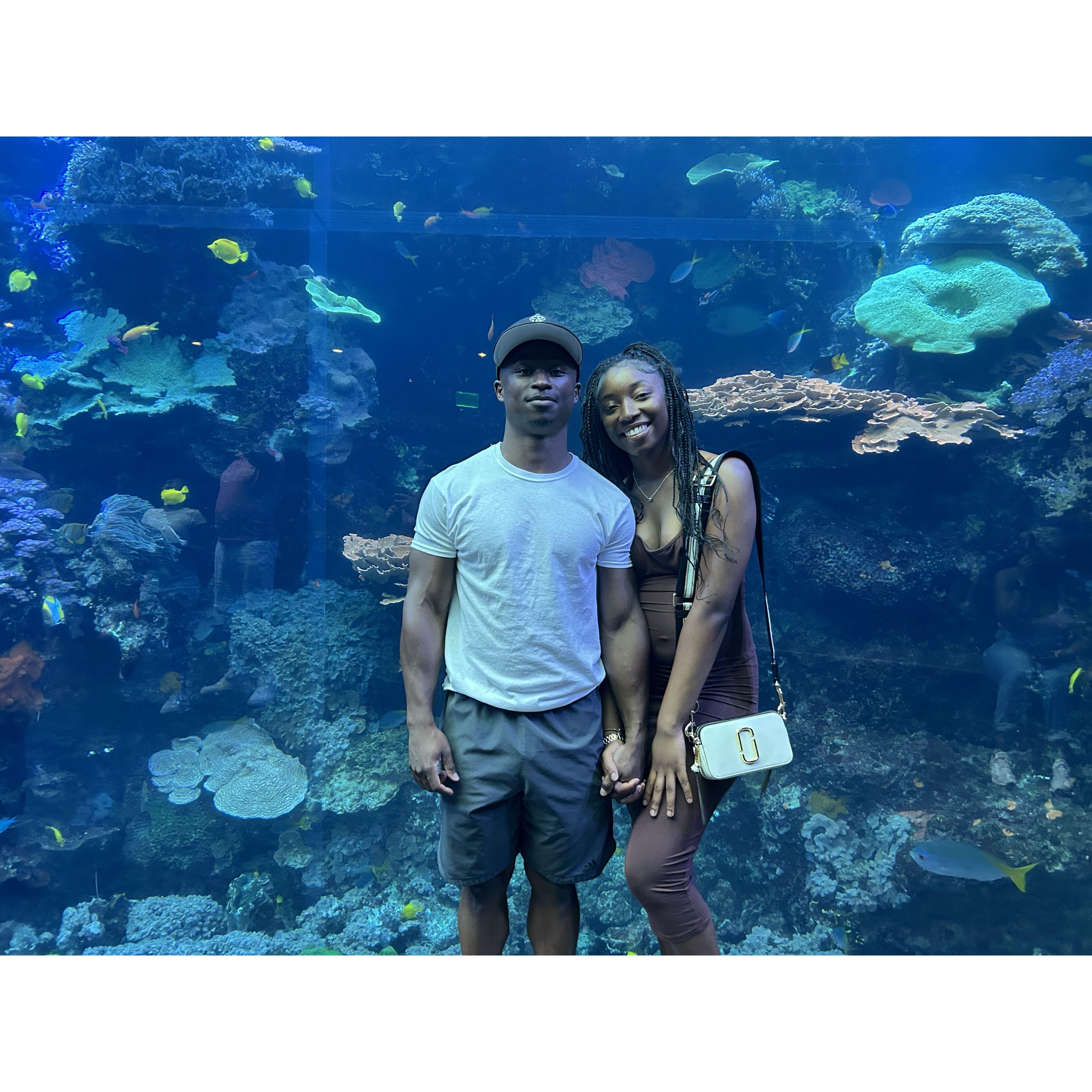 Aquarium Date...