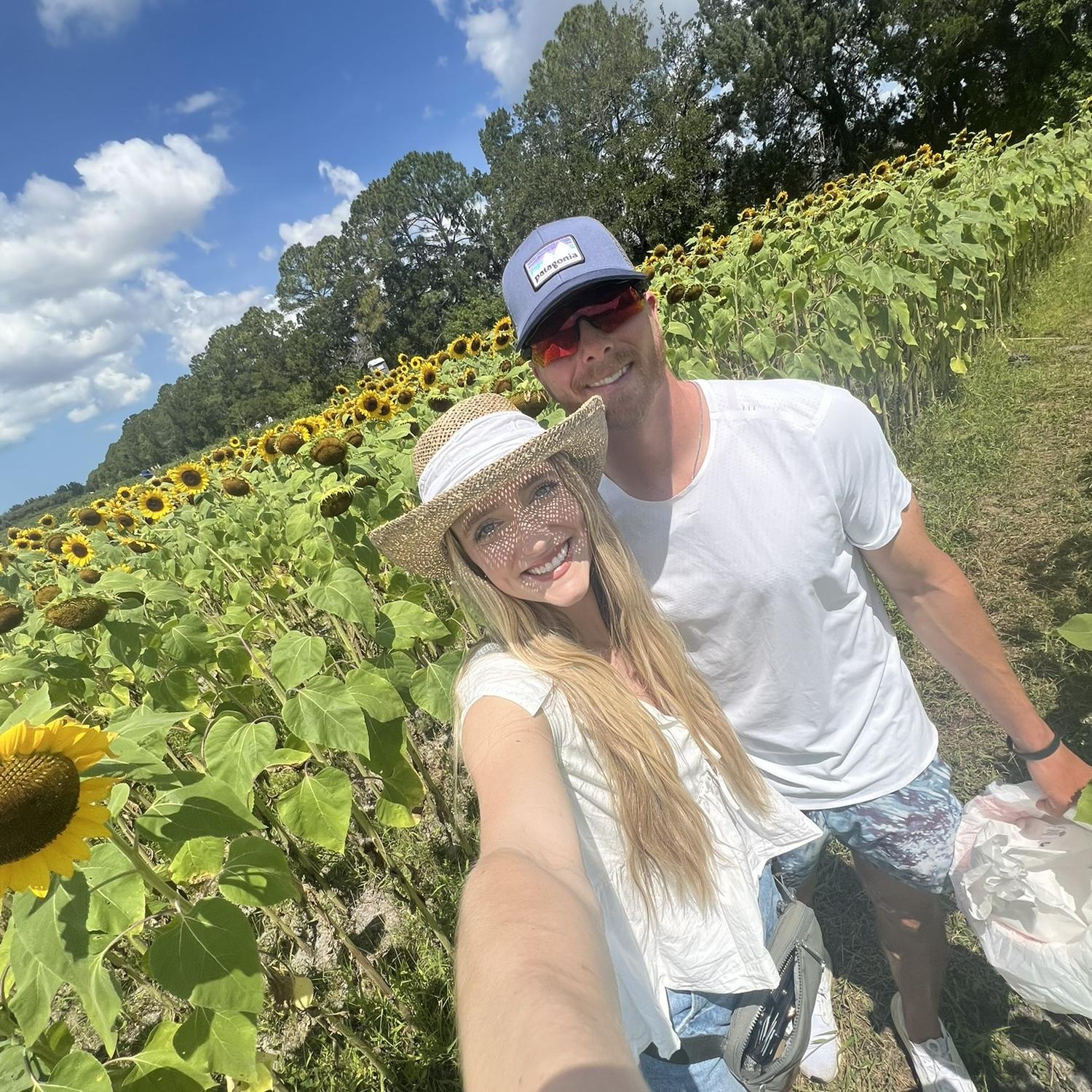 Blueberry pickin