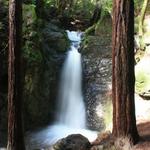 Hike to Cascade Falls Trailhead