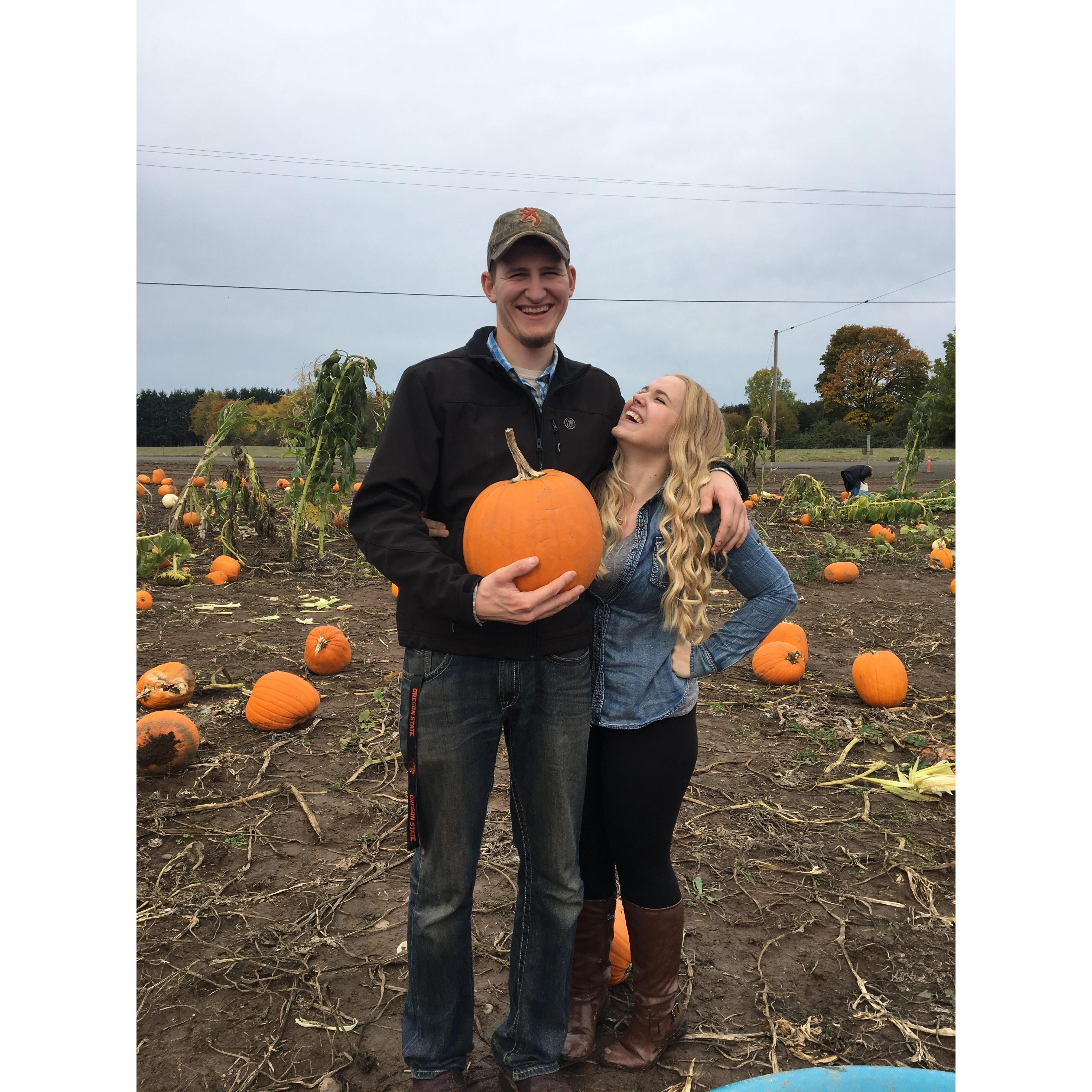 2015 Pumpkin Patch