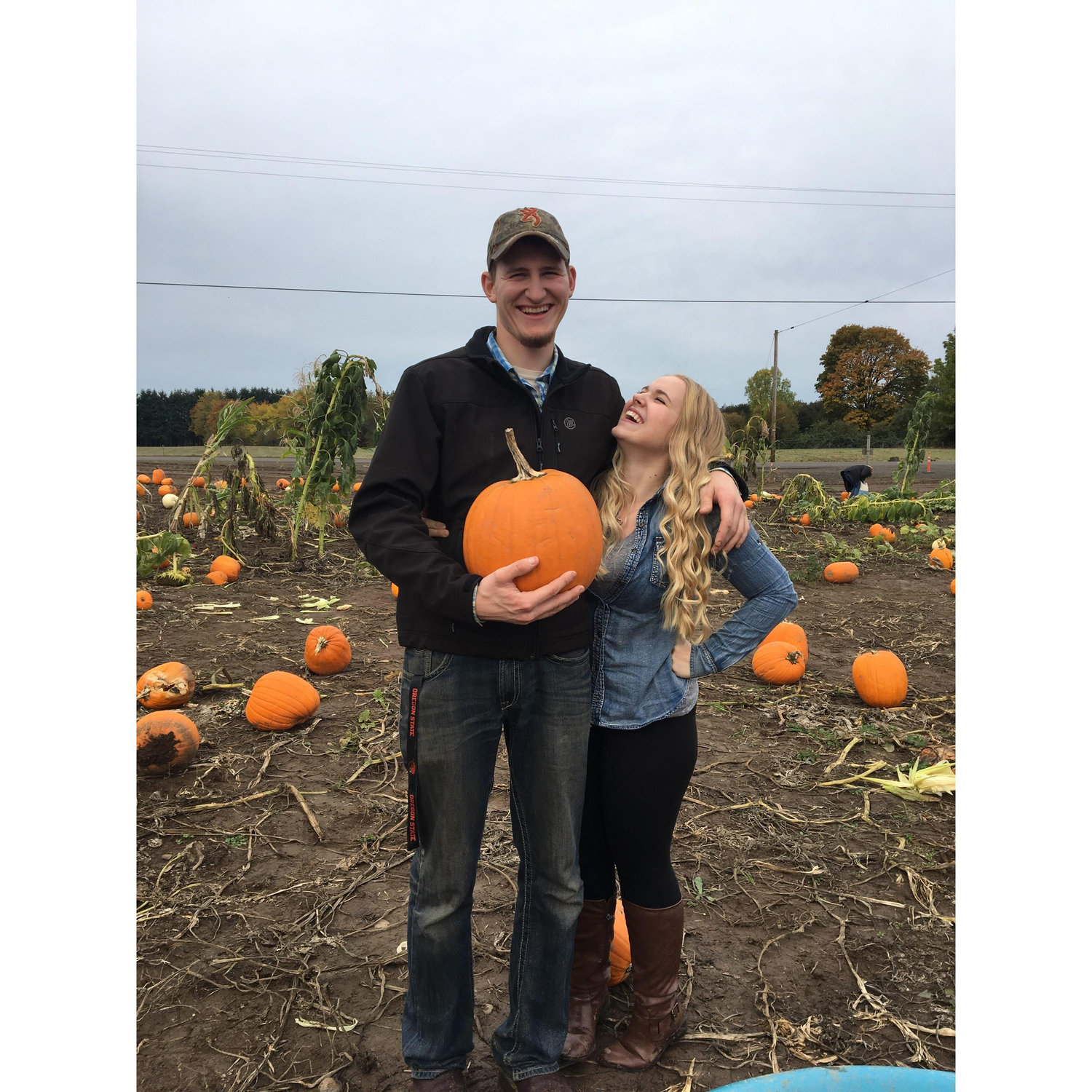 2015 Pumpkin Patch