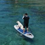 Dog Friendly Activities in Lake Tahoe