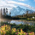 Mt. Baker Ski Area