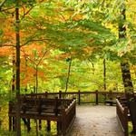 Highbanks Metro Park