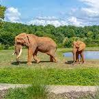 Asheboro Zoo