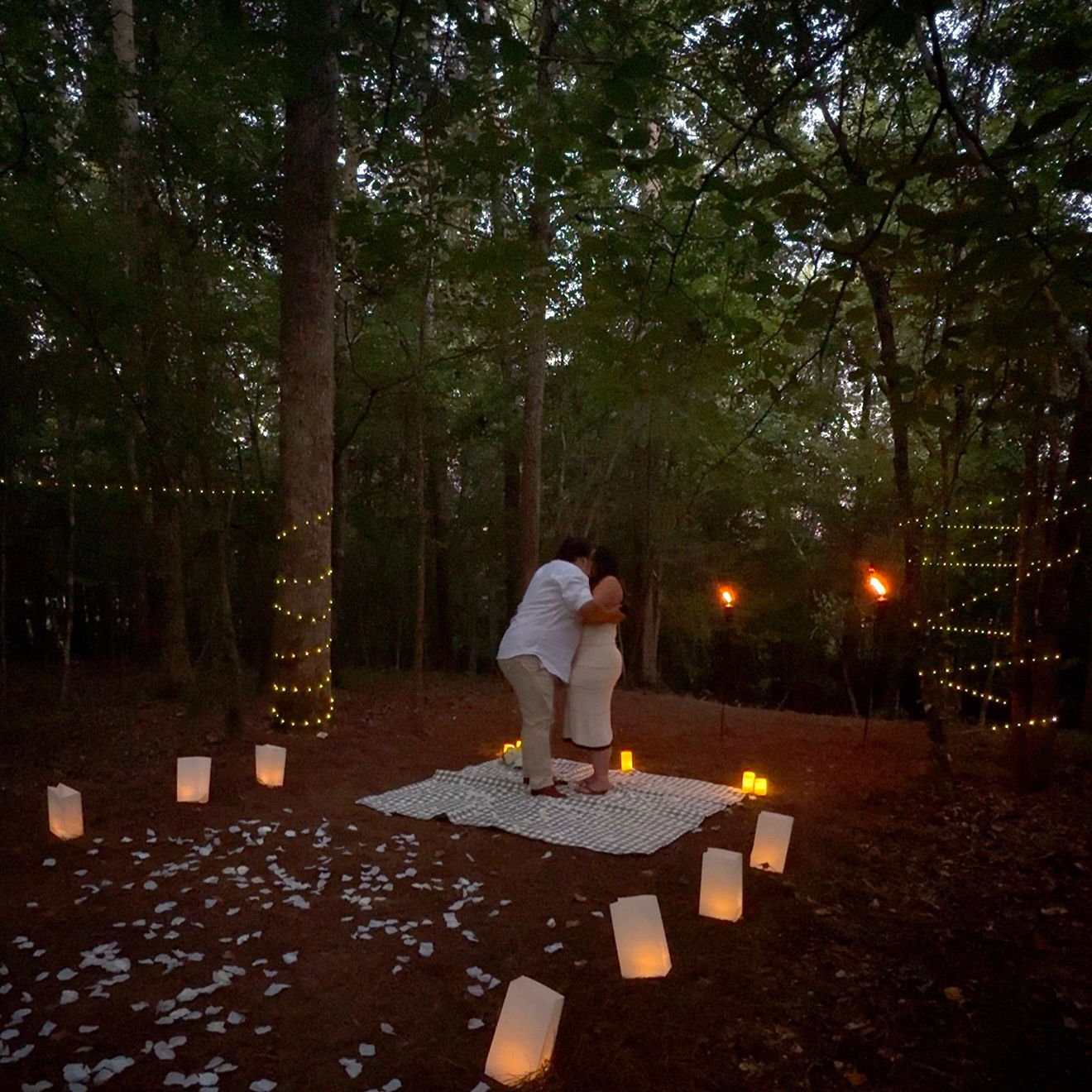Our Engagement