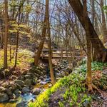 Seven Bridges Trail