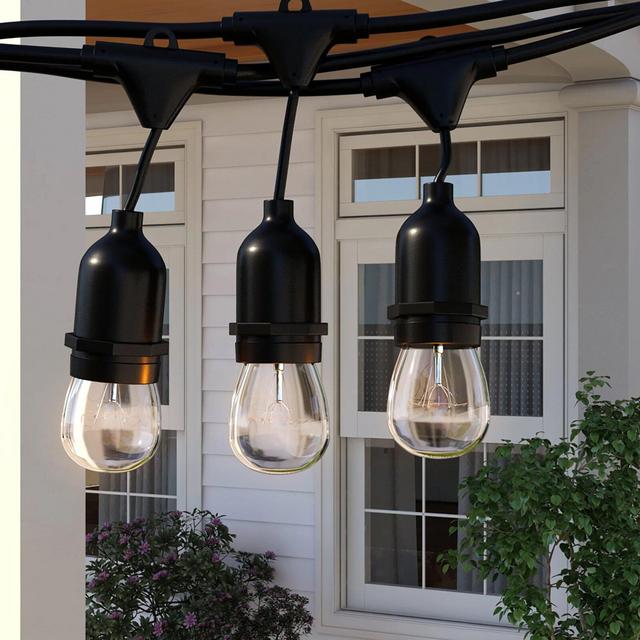 Warrington 50' Outdoor 24 - Bulb Standard String Light (End to End Connectable)