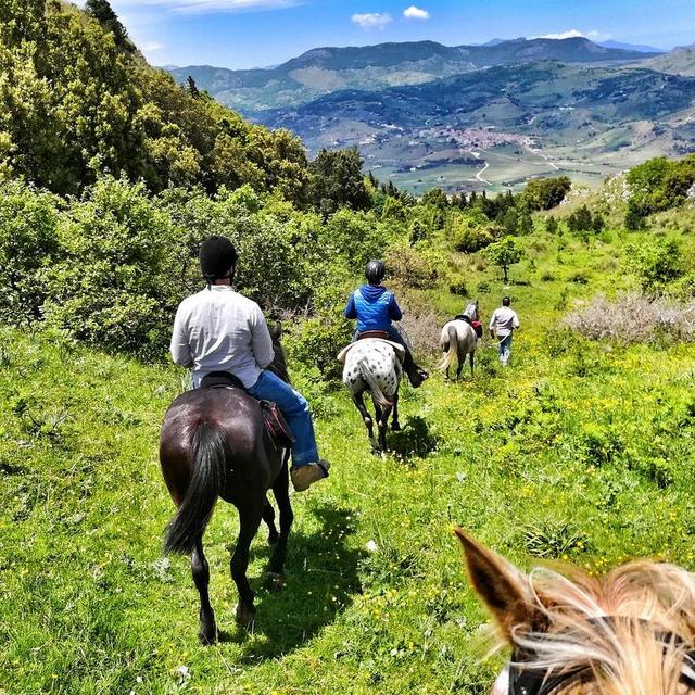 Horseback Riding in Sicily