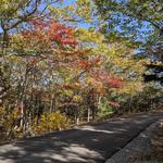 Camden Hills State Park