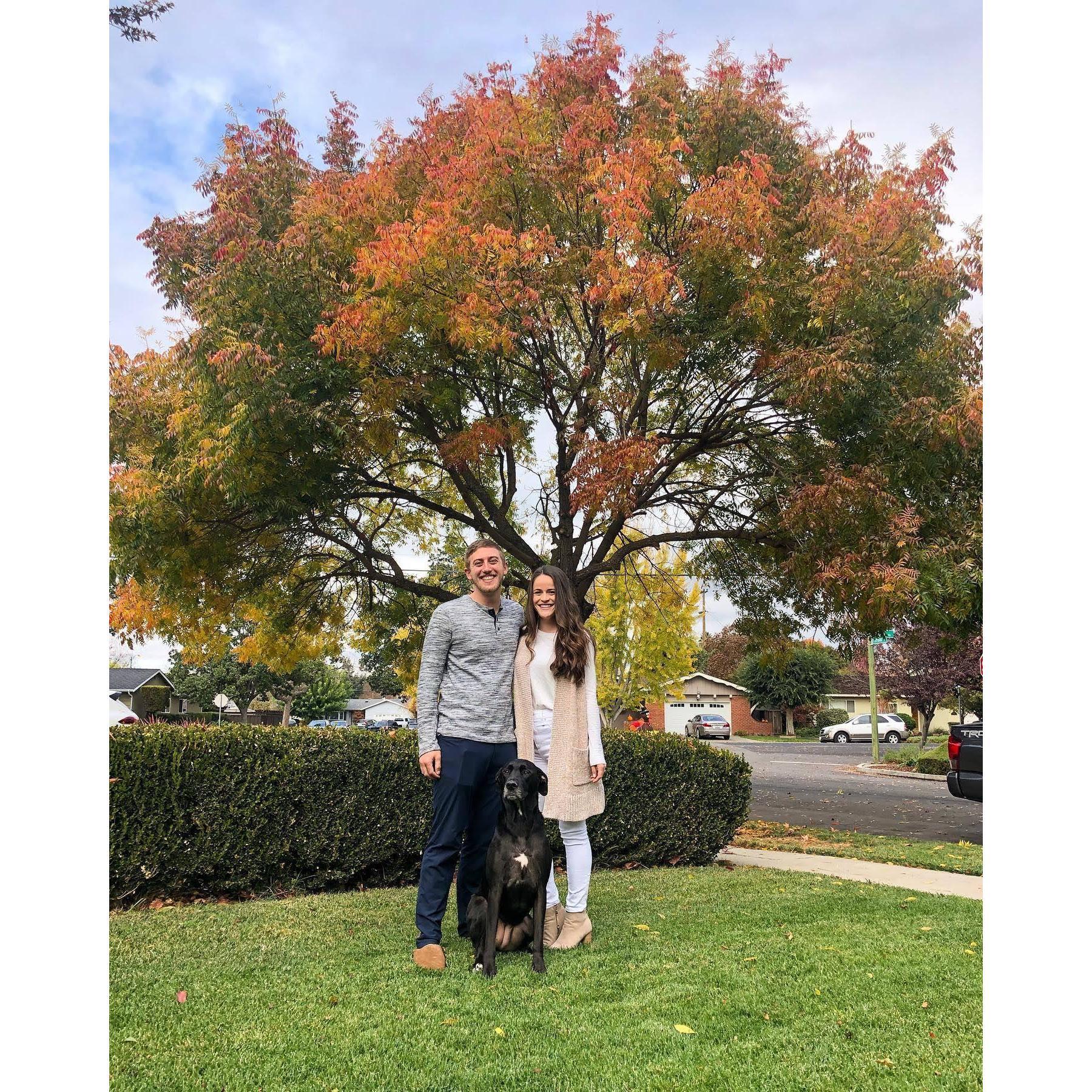 Family portraits