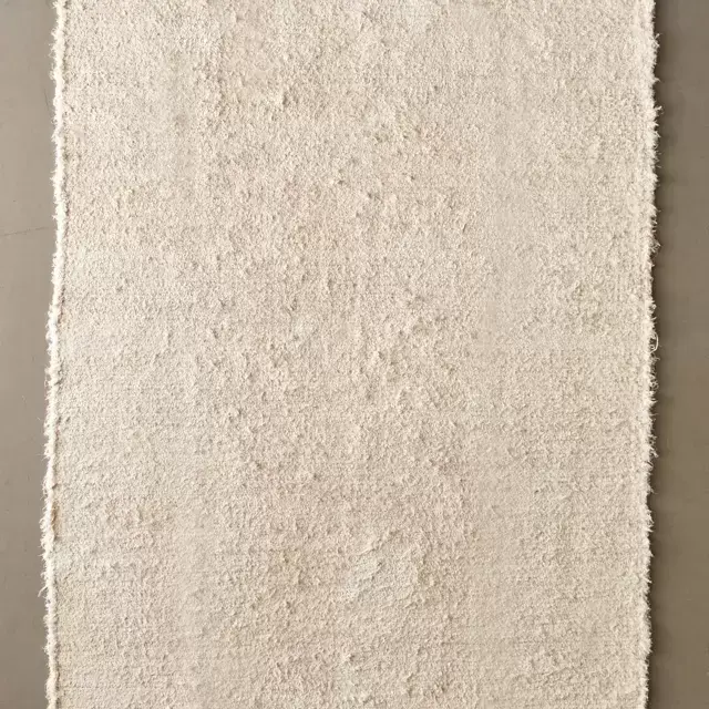 Greyson Solid Shaggy Rug