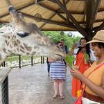 Potawatomi Zoo