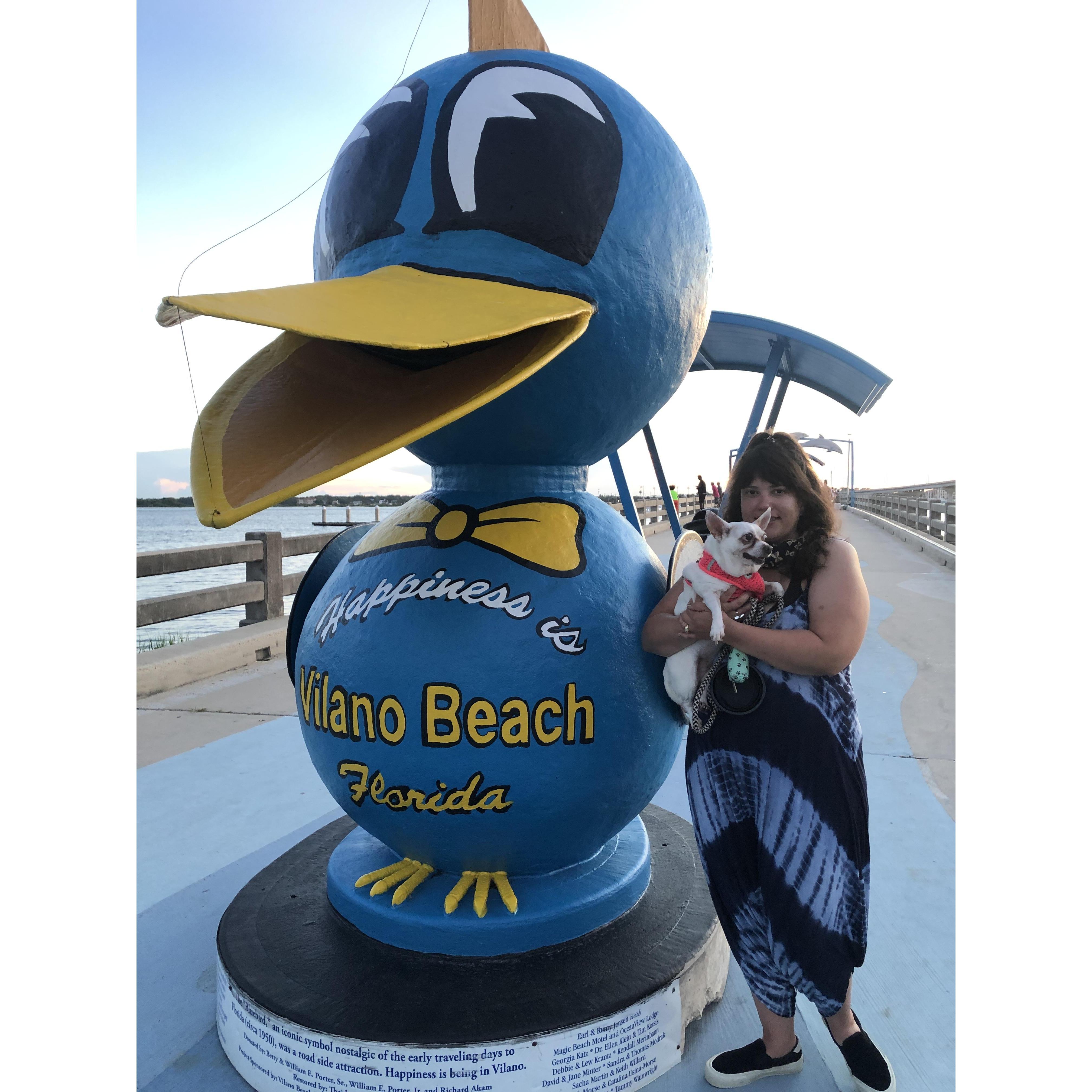 The pier is a great place to see what people are catching and you can see St. Augustine across the river. Sometimes you’ll even see a pirate ship sailing!