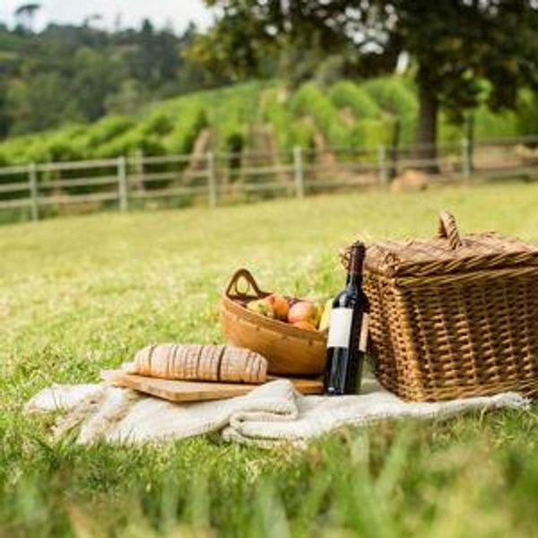 Picnic in a Vineyard