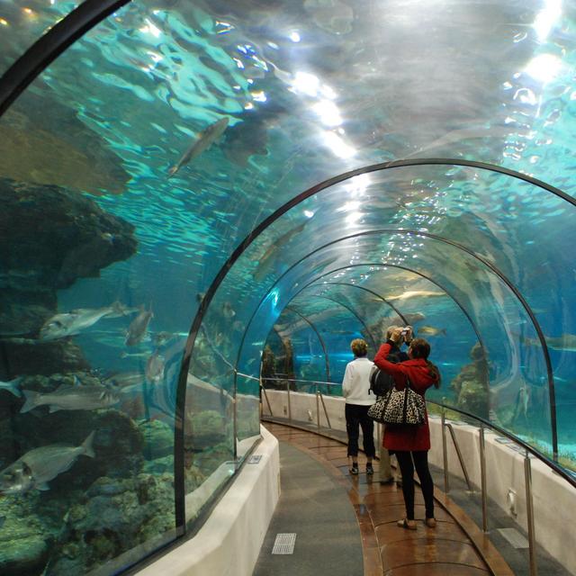 Entrance to Barcelona Aquarium