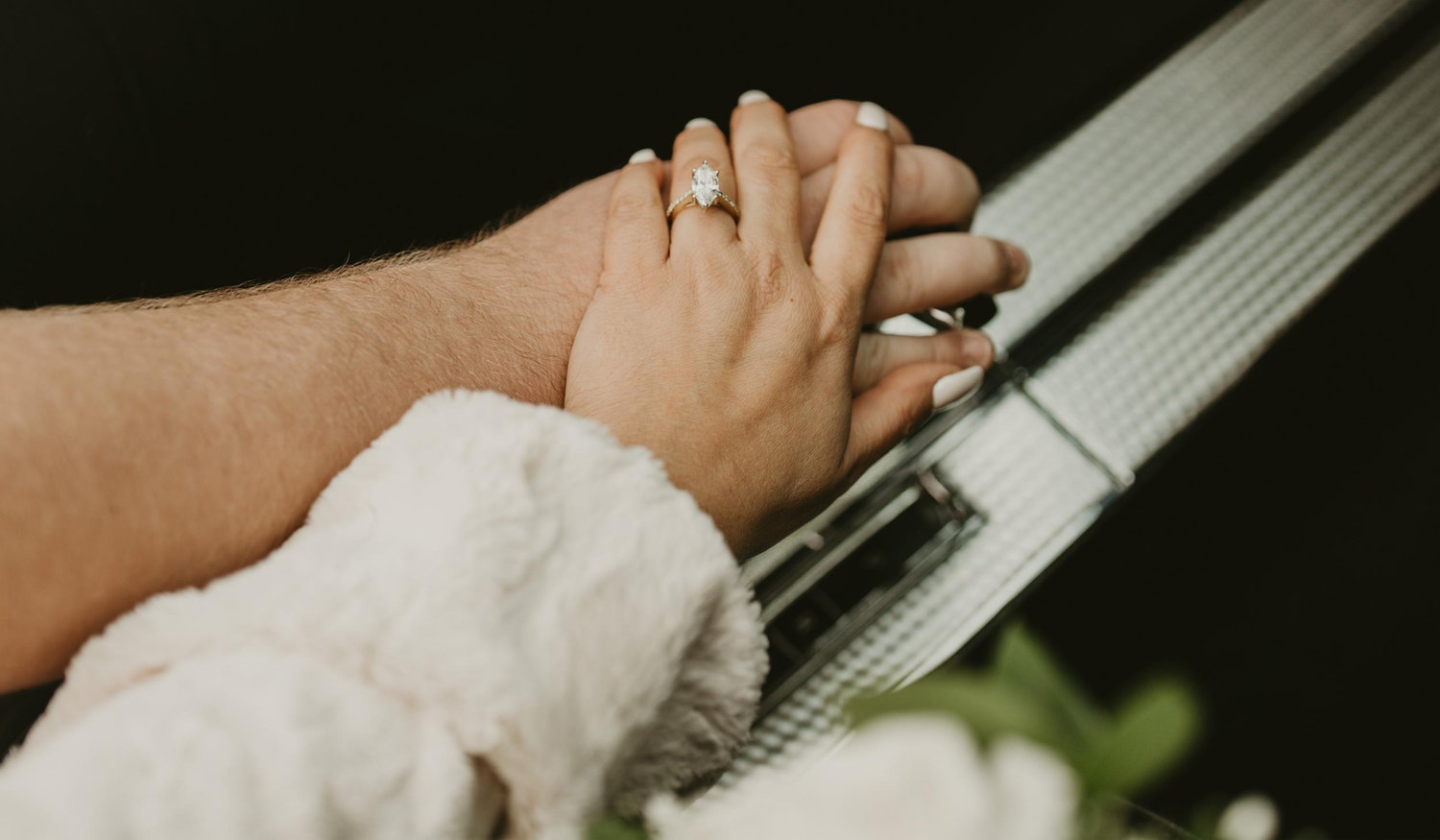 The Wedding Website of Lisa DiPlacido and Michael Jevic