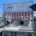 Fish-Finder Charters