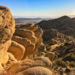 Pioneertown Mountains Preserve