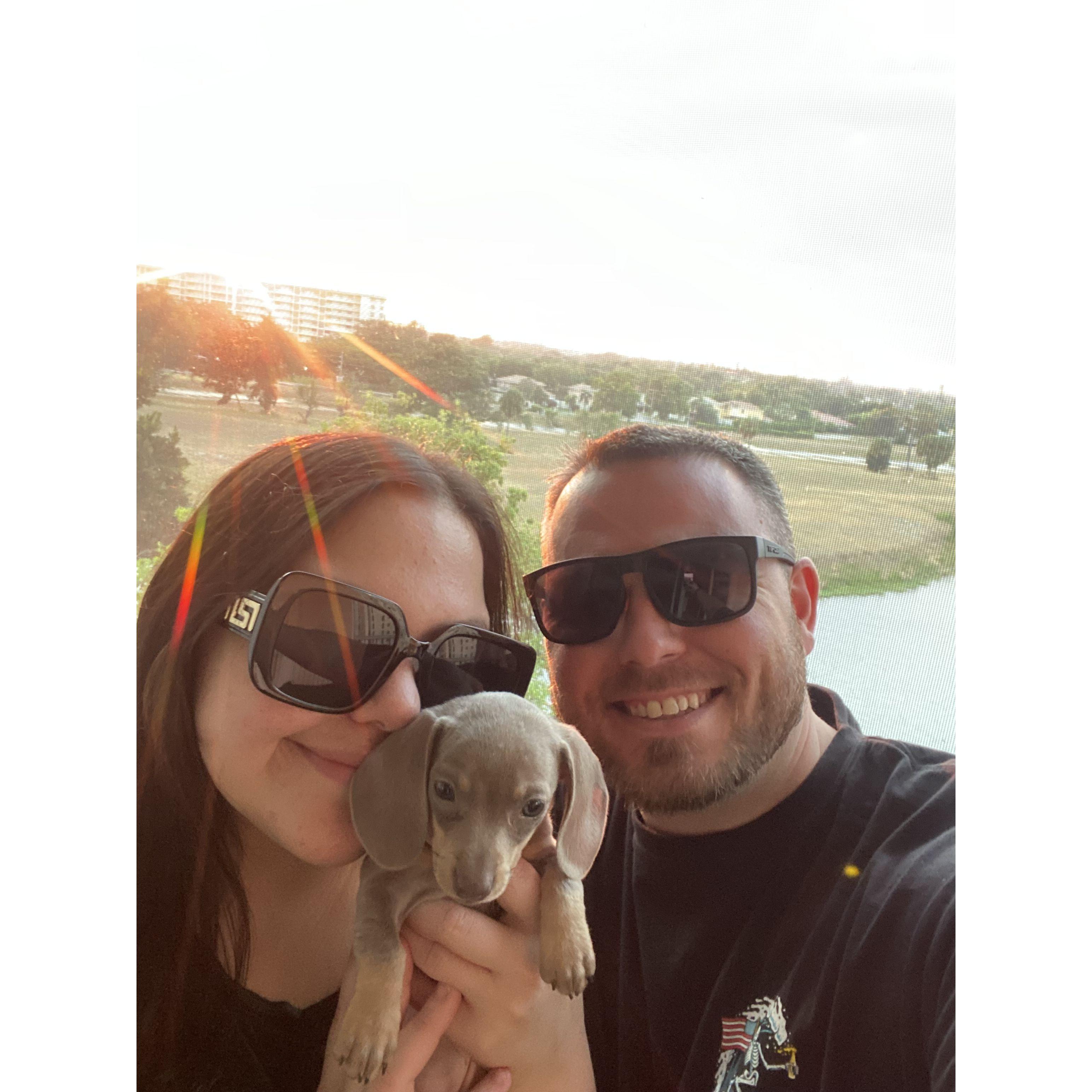 The day we got our dog, kiwi!