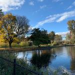 Alton Baker Park