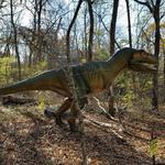 Heard Natural Science Museum & Wildlife Sanctuary