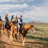 Merrie Mill Farm and Vineyard