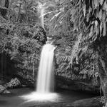 El Yunque National Rainforest