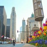 Magnificent Mile