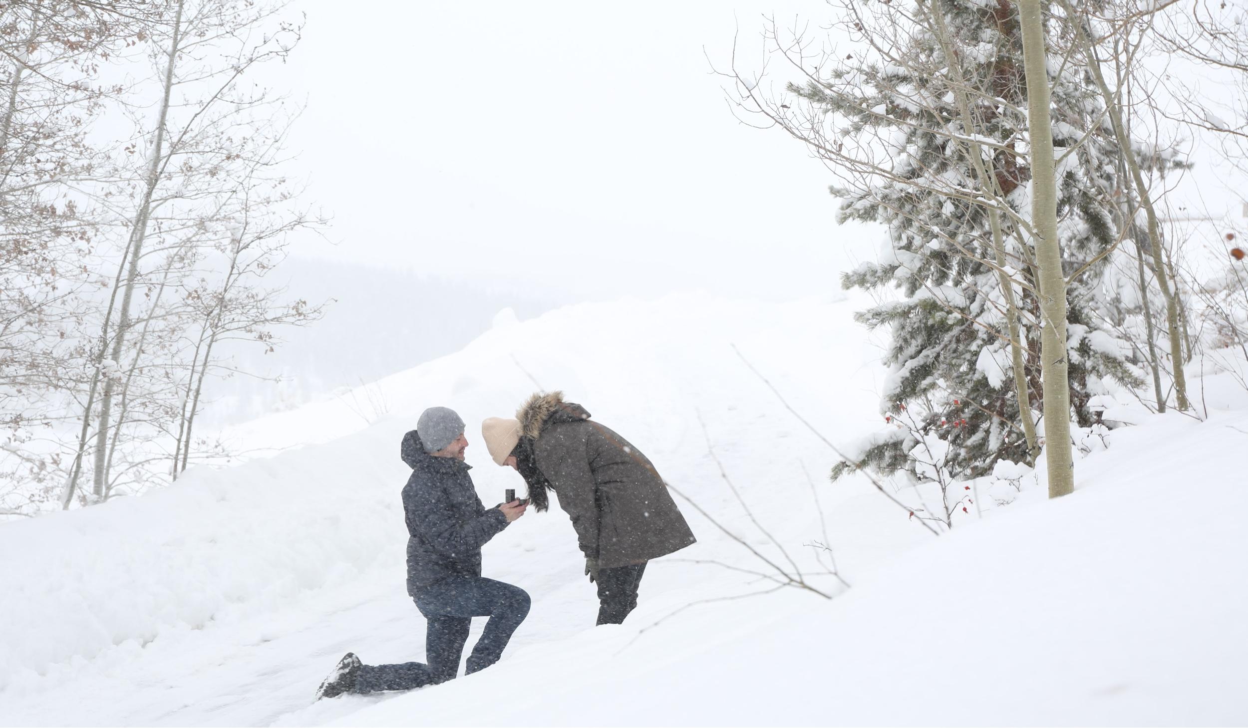 fb4ea1cd-f86f-4207-8585-87bc896b171f