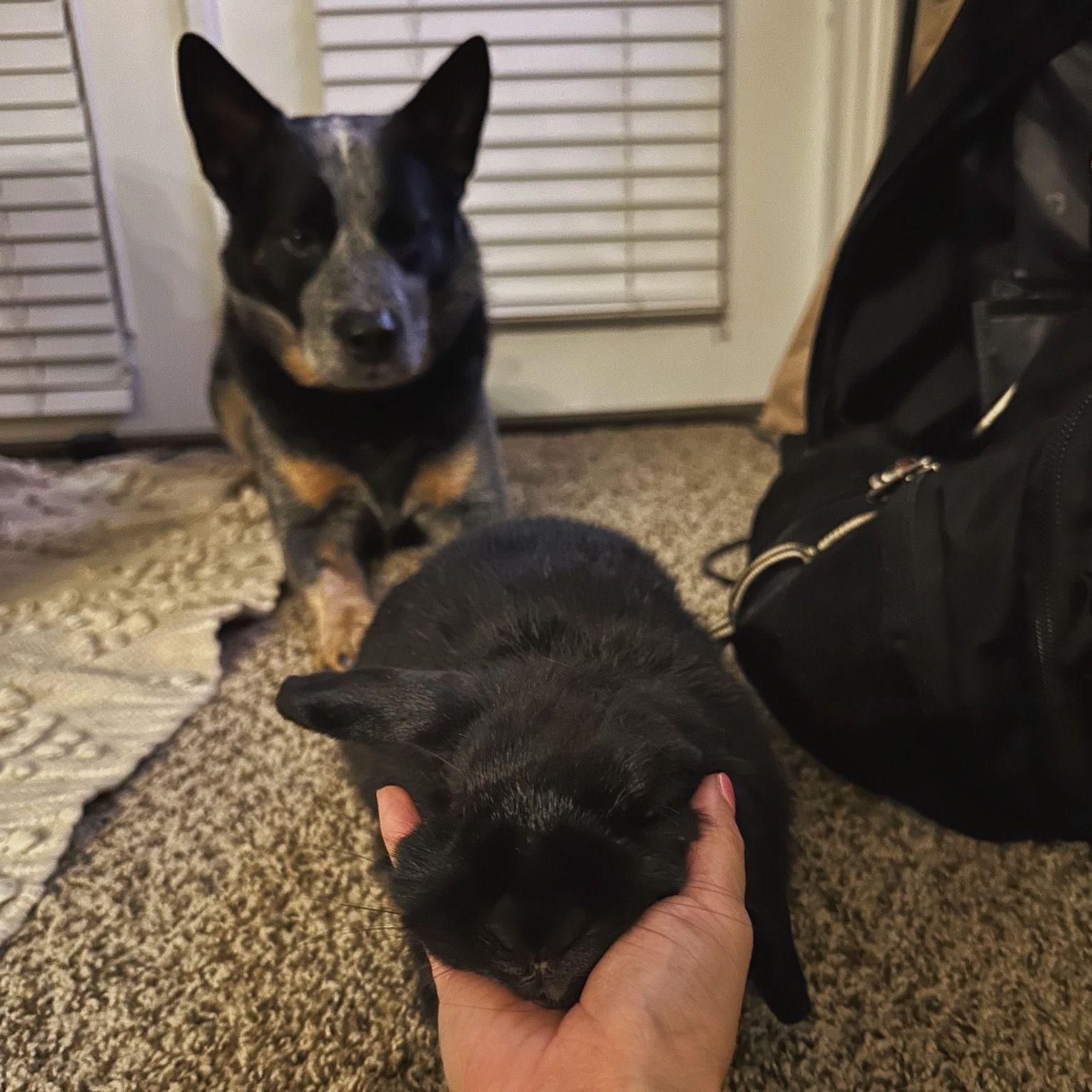 Our little family