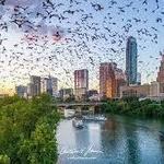 Congress Avenue Bat Cave