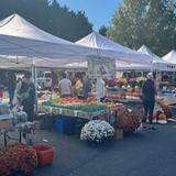 The Farmers Market at IX