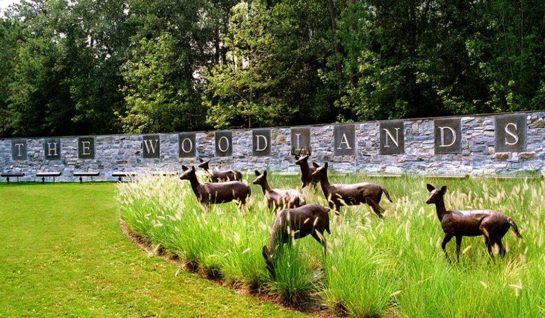 The Wedding Website of Sarah Steinbauer and Alexander Nathan