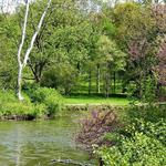 The Morton Arboretum