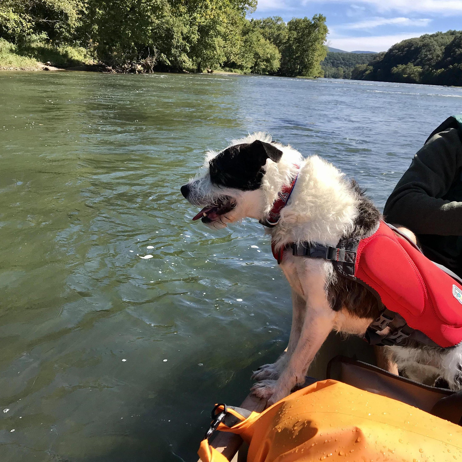 Shenandoah River, VA