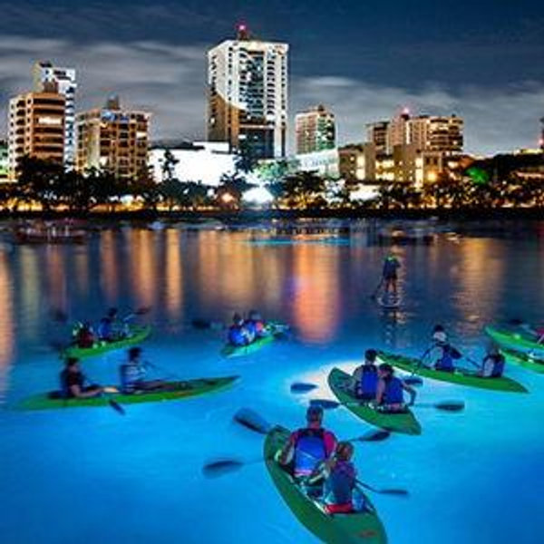 Bioluminescent Bay Night Kayak