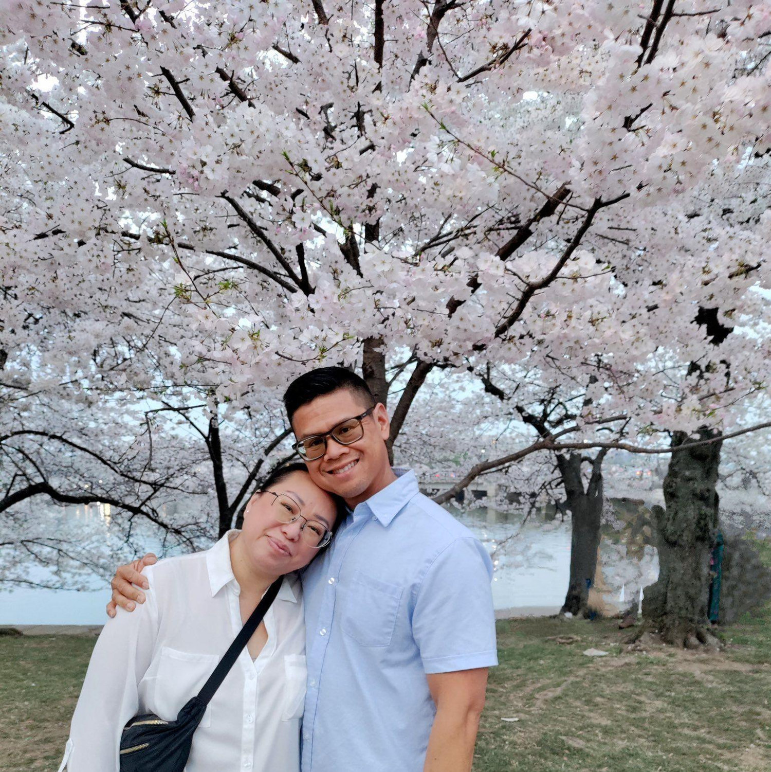 Our visit to see the cherry blossoms in DC.