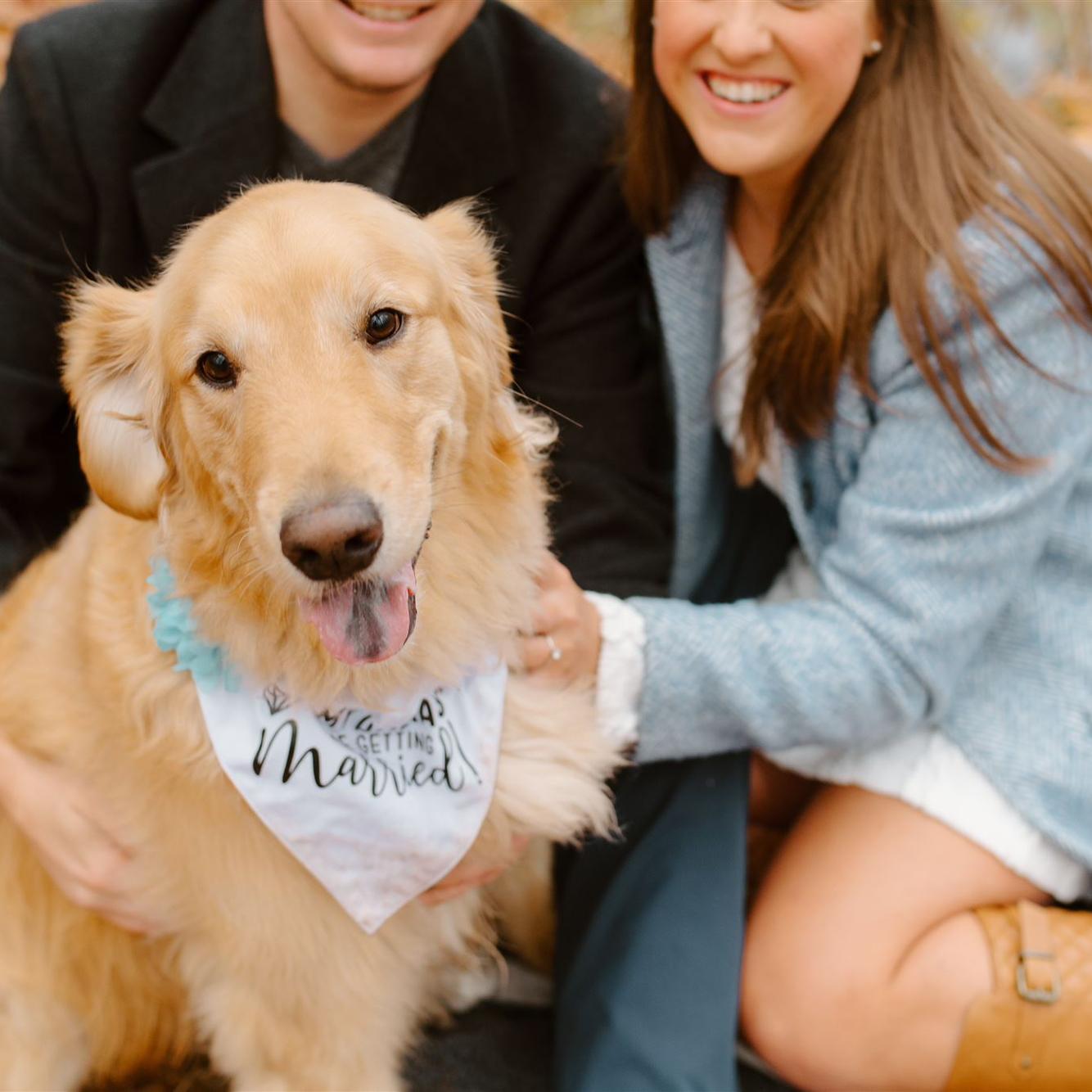 Engagement Photos at the place we had our first date, Rotary Park in Livonia, MI