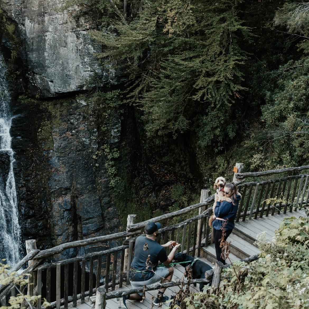 Our favorite waterfall hike